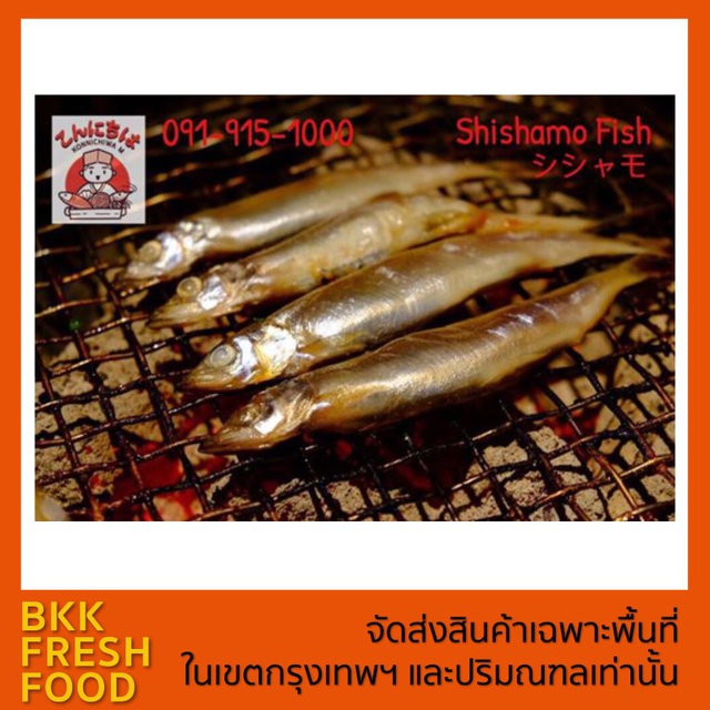 Shishamo Fish : Available now !! シシャモ : ปลาไข่ ญี่ปุ่น 🎌 ราคาอาหาร ยังไม่รวมค่าส่ง สอบถามค่าส่งก่อนส