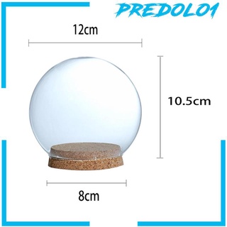 [Predolo1] แจกันแก้ว ทรงโดม พร้อมฐานไม้ 12 ซม.