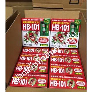 🇯🇵HB-101 AMPOULE นำเข้าจากประเทศญี่ปุ่น