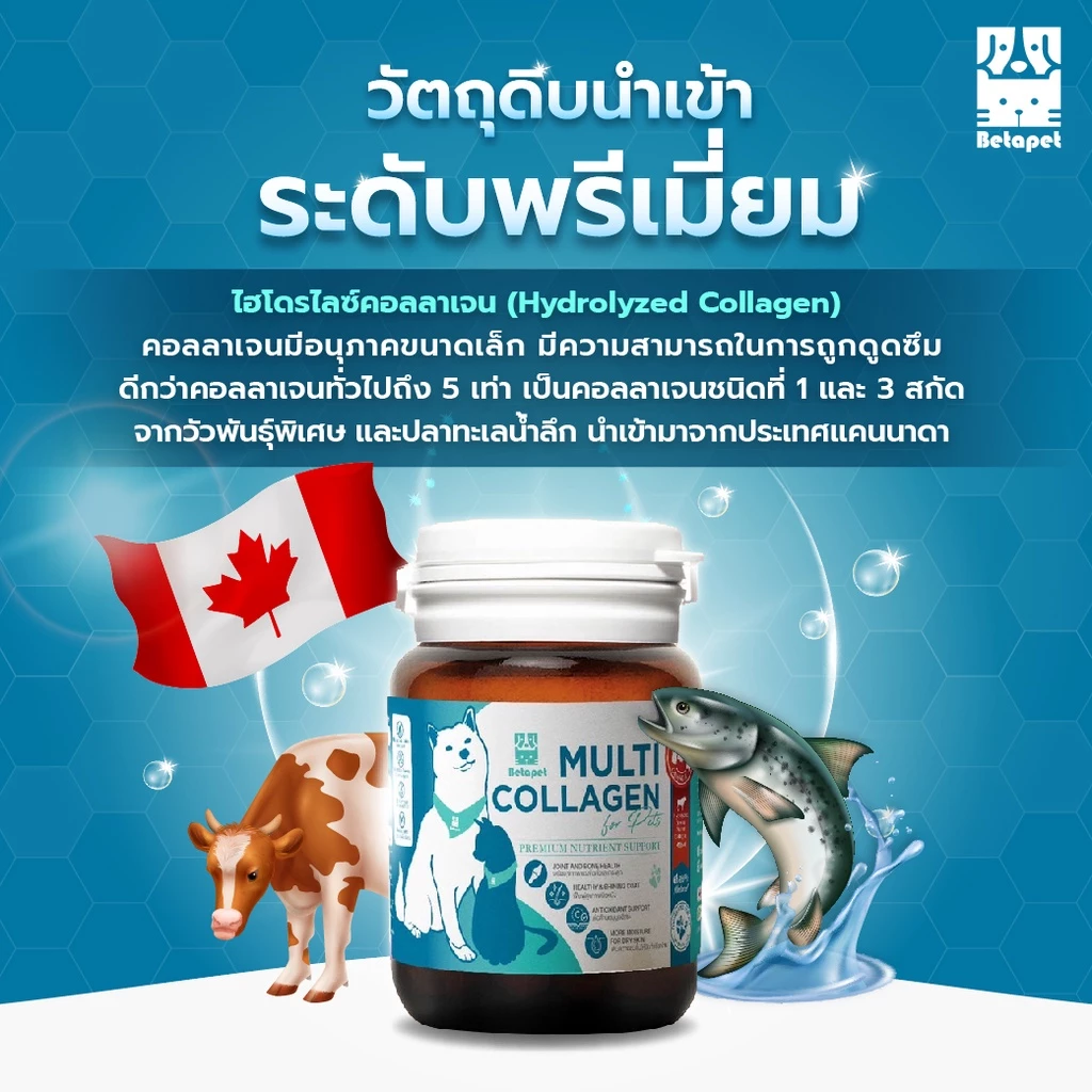BETAPET อาหารเสริมคอลลาเจน 100% สำหรับสุนัขและแมว บำรุงขนและผิวหนัง เพิ่มความชุ่มชื้น ลดผิวหนังหลุดลอกเป็นขุย thumbnail 4
