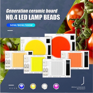 โคมไฟ LED AC COB DOB Chips 50W 80W 100W ไม่ต้องใช้ไดรเวอร์ สําหรับปลูกพืช ดอกไม้