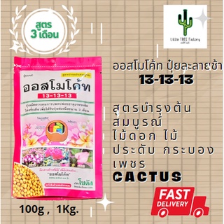 ออสโมโค้ท (Osmocote) สูตร 13-13-13 สารอาหาร ปุ๋ยละลายช้า สูต…