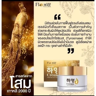ครีมฮายอง 하영⭐️Hayeong Cream⭐️ฮายองครีม ครีมบำรุงผิวหน้า*นำเข้าจากเกาหลี* ของแท้100% ครีมโสมเกาหลี สารสกัด 9 ชนิด