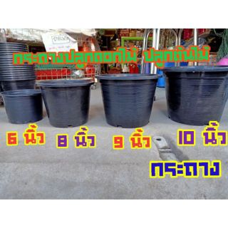 กระถางดำ (แพคคู่) 6นิ้ว 8นิ้ว 9นิ้ว 10นิ้ว กระถางปลูกต้นไม้ ปลูกผัก ดอกไม้ กระถางแคคตัส กระถางพลาสติกสีดำ กระถางเพาะชำ