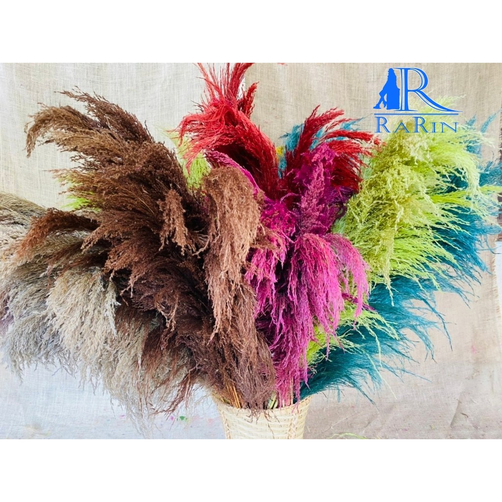 Rarin ดอกแขมรวมสี ดอกไม้แห้ง ดอกไม้ สุดหรูสไตล์ยุโรป  ดอกแขม พร้อมส่ง ไม่ร่วง ใส่แจกัน