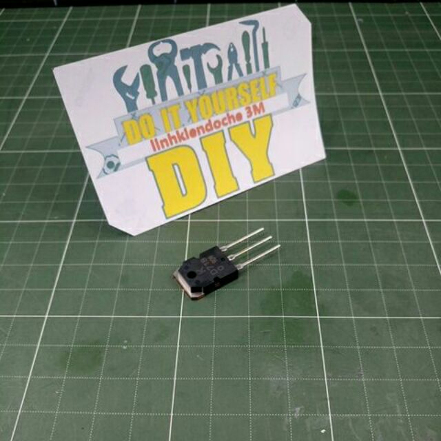 หอยลาย Young D718***