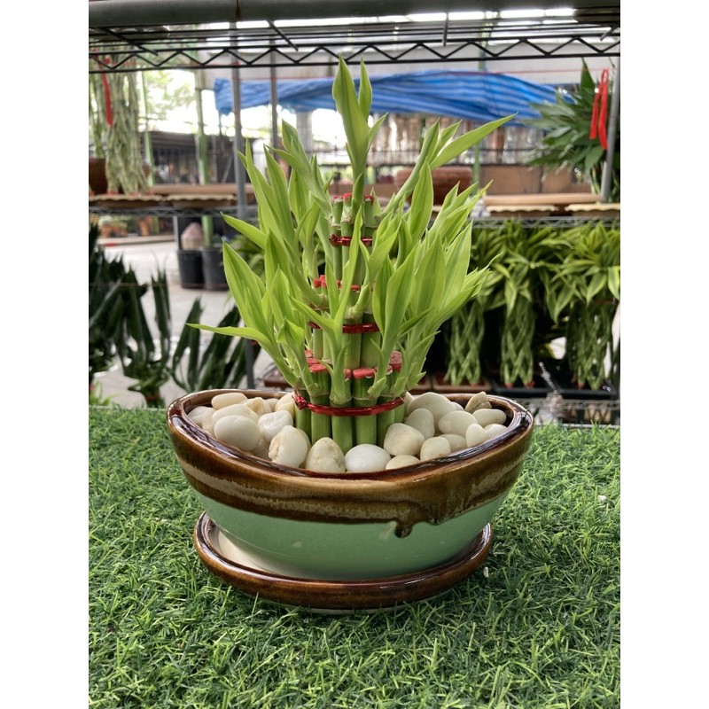 ไผ่กวนอิม3ชั้น พร้อมชุดกระถาง เซรามิคเงินจีนและหินแม่น้ำ