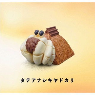 กาชาปอง Kodae Hermit Crab [บ้านปูเสฉวน] งานแท้ญี่ปุ่น.