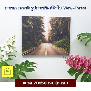 รูปติดผนัง ภาพธรรมชาติ กรอบลอย ขนาด 70x50 ซม. (ก.xส.) ภาพแคนวาส กรอบรูป แต่งบ้าน แต่งห้อง พร้อมกรอบ