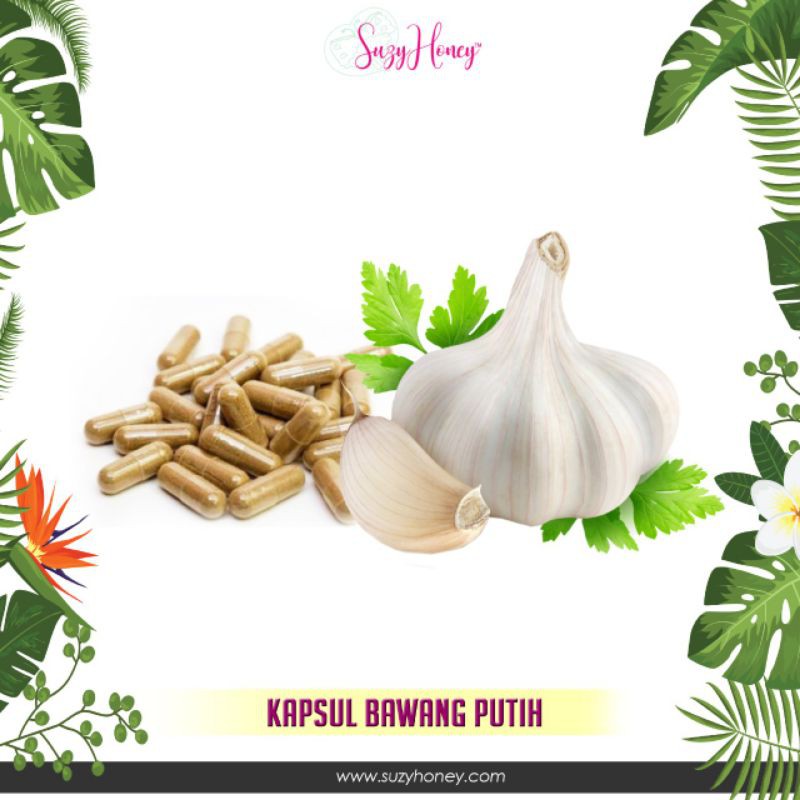 KAPSUL BAWANG PUTIH / KOLESTROL /