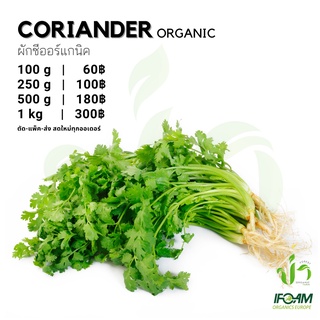 ผักชีออร์แกนิค Organic Coriander มาตรฐานออร์แกนิค IFOAM ผักสลัด ผักสด เก็บ-แพ็ค-ส่ง เก็บใหม่ทุกออเดอ