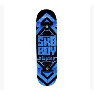 สเก็ตบอร์ด เซิร์ฟบอร์ด Skateboard Sk8boy Display