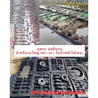 แพกบ แผ่นยางรองกบ กระชังบก กระชังเลี้ยงกบ สำหรับกบโต แผ่นหนา นน.เบา รับนน.ได้เยอะ