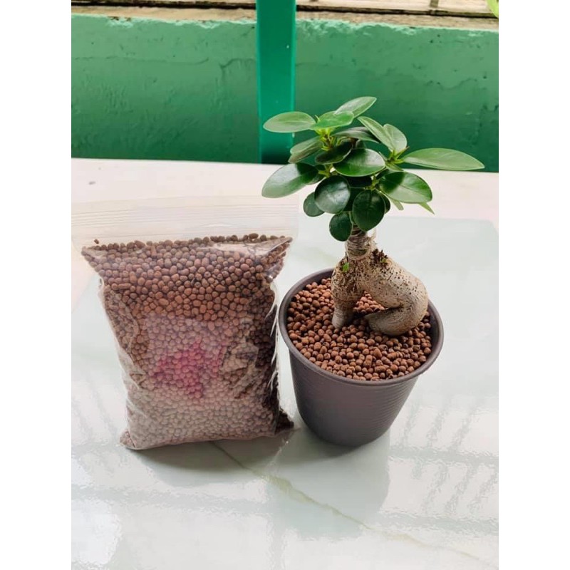 เม็ดดินเผาป๊อปเปอร์ (Popper Clay Pellets) หรือที่เรียกกันว่า เม็ดดินเผามวลเบา (Lightweight Expanded Clay Aggregate
