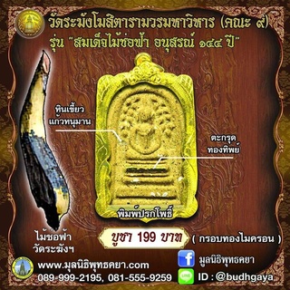 สมเด็จไม้ช่อฟ้า อนุสรณ์ ๑๔๔ปี วัดระฆังฯ รุ่น (พิมพ์ปรกโพธิ์)