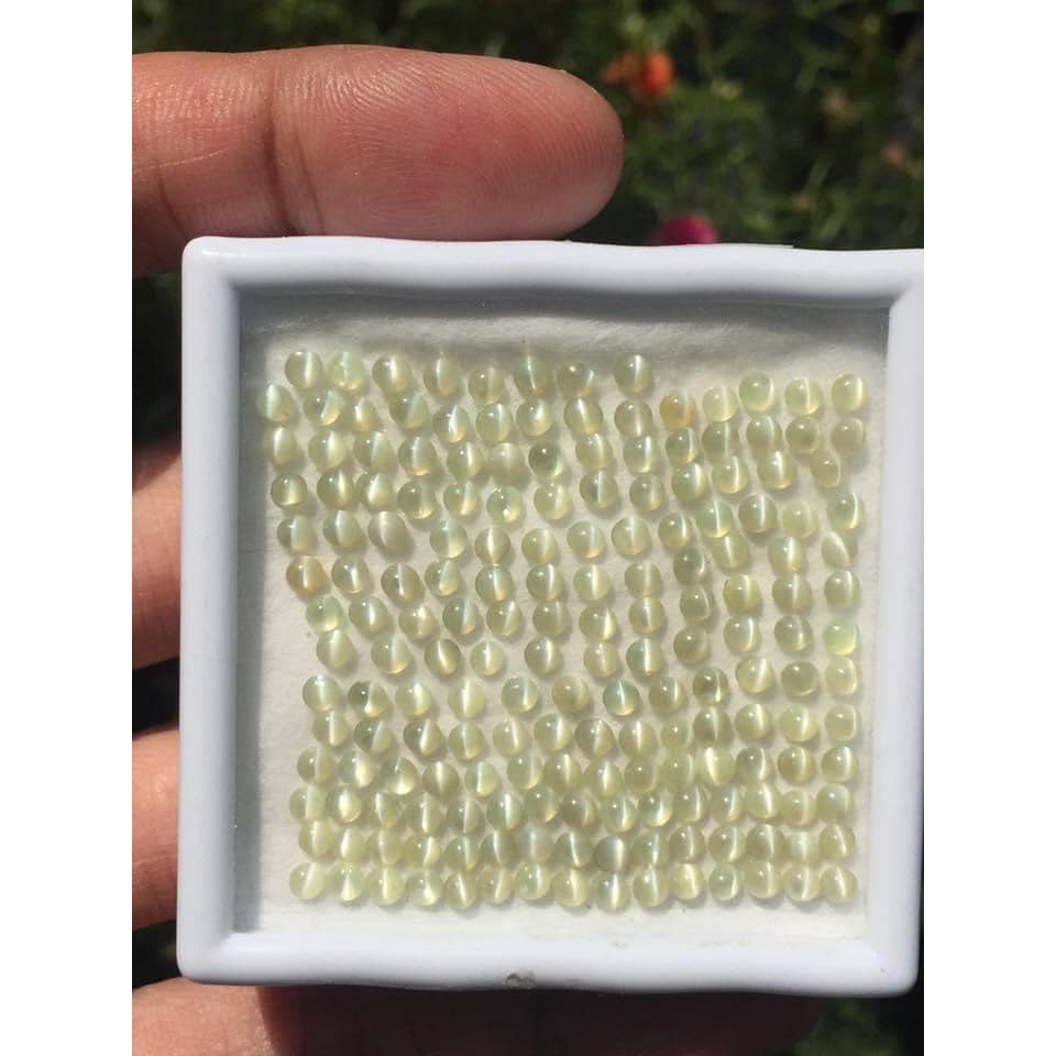 ( 1 ชุด มี 6 เม็ด ) พลอยแท้ ไพฑูรย์ คุณภาพ Top Cat's Eye Chrysoberyl หลังเบี้ย กลม 3มิล ตาแมว พลอย อ