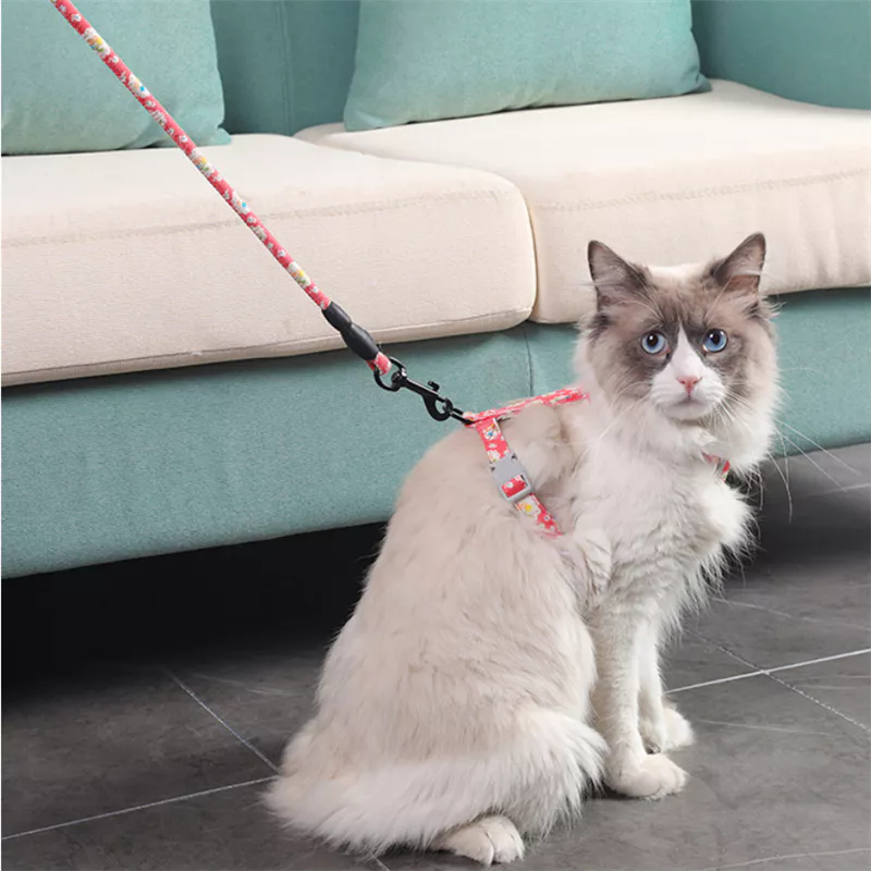 🐾สินค้าพร้อมส่ง🐱สายจูงสัตว์เลี้ยง สายจูงแมว น่ารัก 1.5M ปรับได้ thumbnail 7