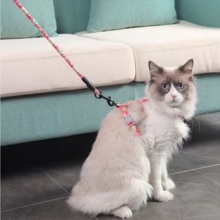 🐾สินค้าพร้อมส่ง🐱สายจูงสัตว์เลี้ยง สายจูงแมว น่ารัก 1.5M ปรับได้