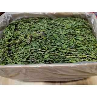 Super Premium Alfalfa หญ้าอัลฟาฟ่าพรีเมี่ยม 800 กรัม สำหรับกระต่าย ชินชิล่า แกสบี้