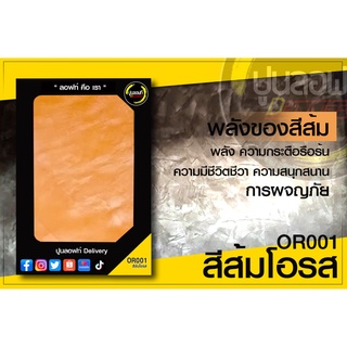 ปูนลอฟท์ Delivery OR001 สีส้มโอรส ขนาด 5 กก. ไม่มีอุปกรณ์ (สินค้าเฉพาะปูน)