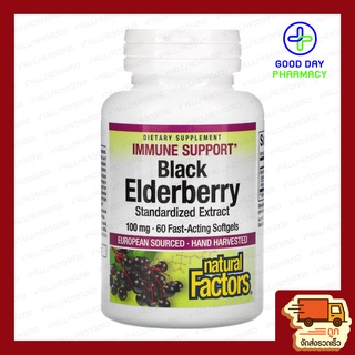 🚛พร้อมส่ง Natural Factors เสริมภูมิคุ้มกัน Black Elderberry 100 mg  60 เม็ดซอฟเจล