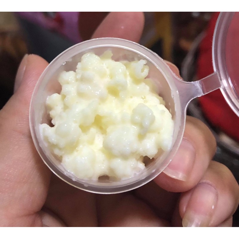 เกรน คีเฟอร์ kefir grains สายพันธุ์ ตุรกี 🇹🇷 หอมอ่อนๆ มีรสหวานติดปล่ยลิ้นนิดๆ นมดื่มง่ายค่ะ สอบถามเพ