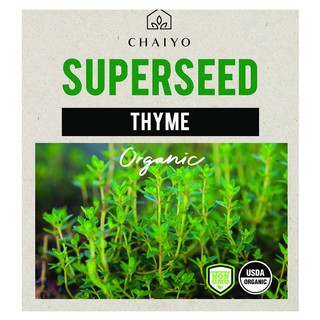 เมล็ดพันธุ์ไทม์ ชัยโย 270 เมล็ด THYME (ORGANIC) 270 SEEDS