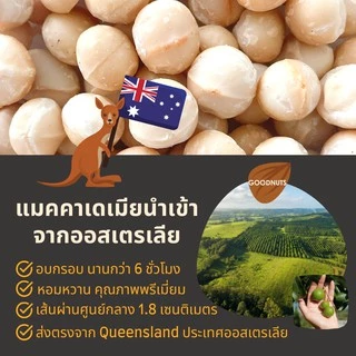 กู้ดนัทส์ แมคคาเดเมียรสทรัฟเฟิล เม็ดเต็ม นำเข้าจากออสเตรเลีย อบใหม่ Truffle Macadamia | Goodnutsbkk