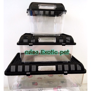 กล่องพลาสติกใสฝาครอบใส่สัตว์ 🐛เคลื่อนย้าย🐢พกพา #Box pet #Exotic pet