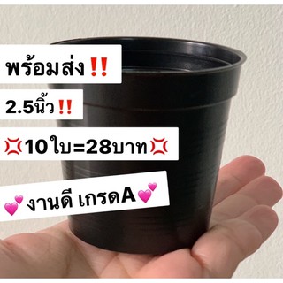 กระถาง 2.5 นิ้ว‼️กระถางกระบองเพชร กระถางพลาสติก 💢10 Plant pots 2.5”