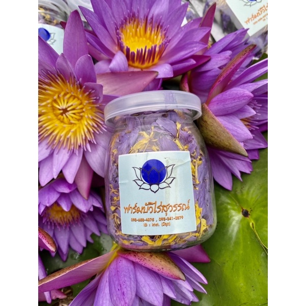 ชาบัวBlueLotusแบบกลีบ+เกสร บรรจุกระปุก ตากแห้งธรรมชาติ100% - รูปที่ 4