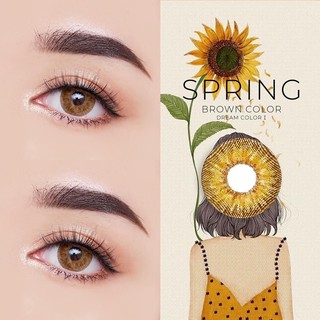 spring brown บิ๊กอายส์สีน้ำตาลลายคมชัด กรองแสง