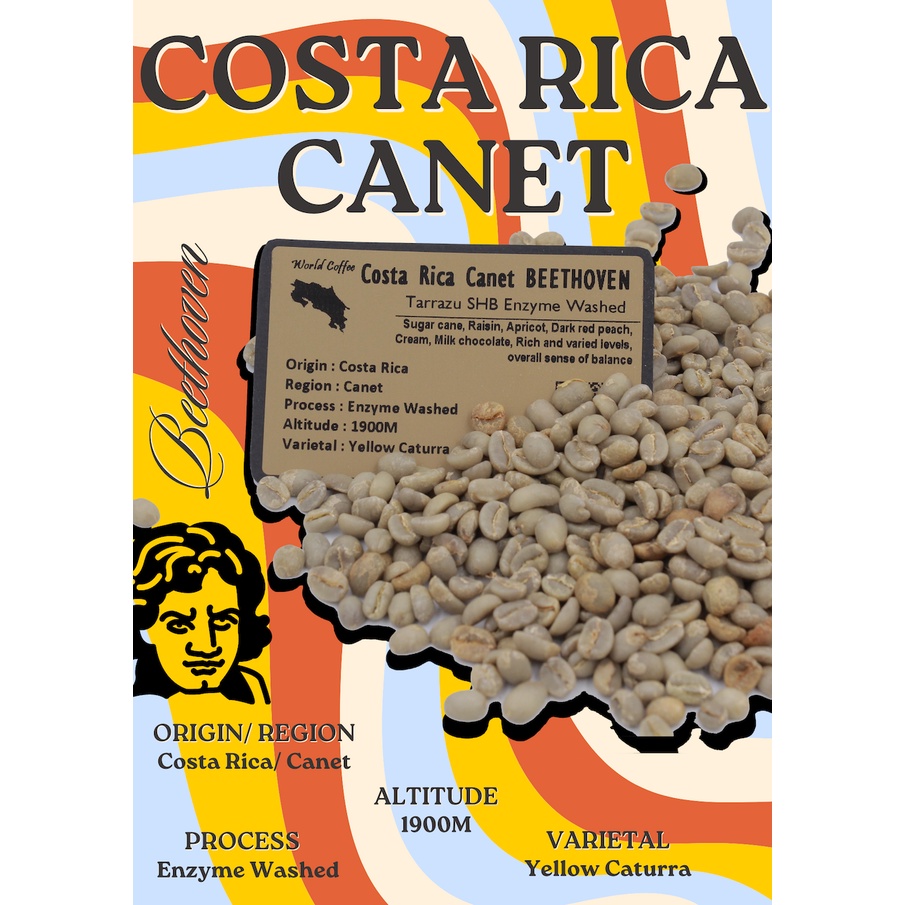 พร้อมส่ง เมล็ดกาแฟดิบ Costa Rica Canet BEETHOVEN Tarrazu SHB Enzyme Washed process/ เมล็ดกาแฟนอก/ เมล็ดกาแฟสารคอสตาริกา