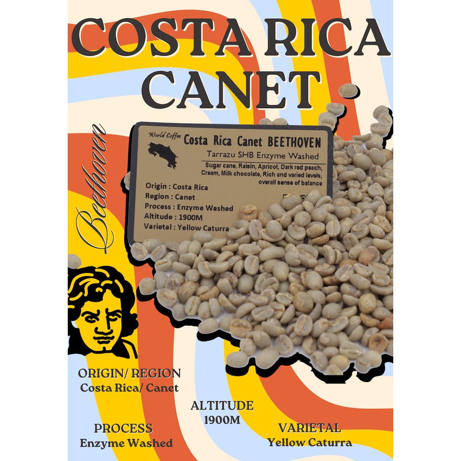 พร้อมส่ง เมล็ดกาแฟดิบ Costa Rica Canet BEETHOVEN Tarrazu SHB Enzyme Washed process/ เมล็ดกาแฟนอก/ เม