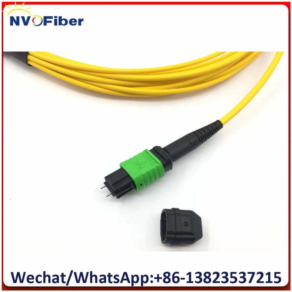 2M 12F MPO/APC Male(SENKO)-DX LC ST FC SCUPC 2.0mm Fanout Fiber Optic Patch Cord Jumper,3.0mm 12C G6