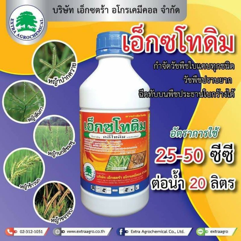 เอ็กซโทดิม คลีโทดิม กำจัดหญ้าปากควาย หญ้าใบแคบ1ลิตร เอ็กซ์โทดิม