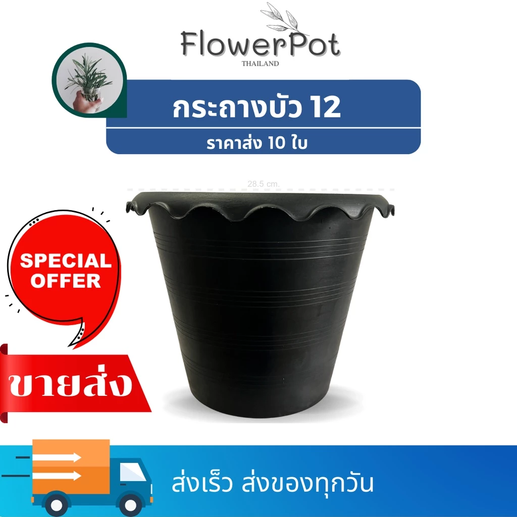 (10 ใบ) กระถางบัว เบอร์ 12 (ปากกว้าง 10 นิ้ว) สีดำ ปลูกบัว