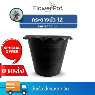 (10 ใบ) กระถางบัว เบอร์ 12 (ปากกว้าง 10 นิ้ว) สีดำ ปลูกบัว