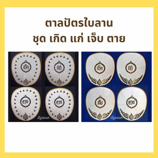 ตาลปัตรใบลาน ชุดสวดพระอภิธรรมงานเกิด แก่ เจ็บ ตาย พร้อมด้าม