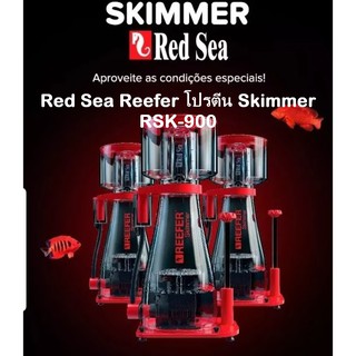 RedSea Reefer โปรตีน Skimmer RSK-900 รองรับน้ำไม่เกิน 2700 ลิตร