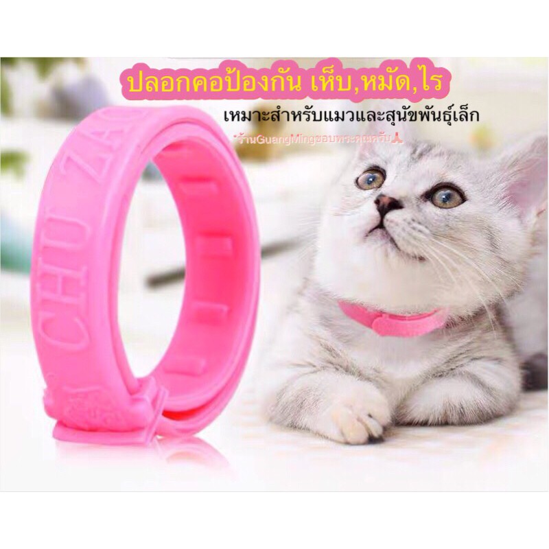[ ลด15% ขั้นต่ำ99 code: PTPDSGUA ] ปลอกคอป้องกันหมัด เห็บ ไร สำหรับสัตว์เลี้ยง ( พร้อมส่ง )