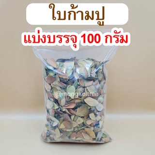 ใบก้ามปูแห้ง ถูกที่สุด!! แบ่งบรรจุ 100 กรัม ใบฉำฉา ใบจามจุรี คัดใบล้วน ใบแห้ง ไม่มีดินผสม ตากแดดฆ่าเชื้อโรคแล้วค่ะ