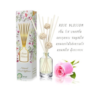 น้ำหอมไม้ปักอโรม่า กลิ่น rose blossom : scent nature