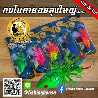 กบโบคายอย ลุงใหญ่ รุ่นสีล้วน