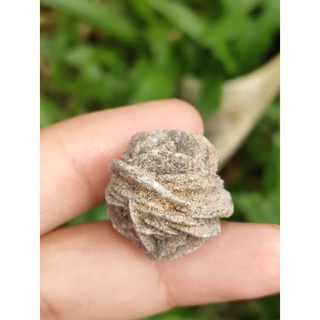 หินกุหลาบทะเลทราย (Desert Roses Stone) 100%