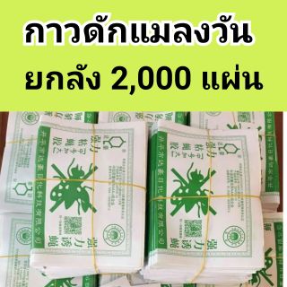 แผ่นกาวดักแมลงวัน ยกลัง 2,000 แผ่น