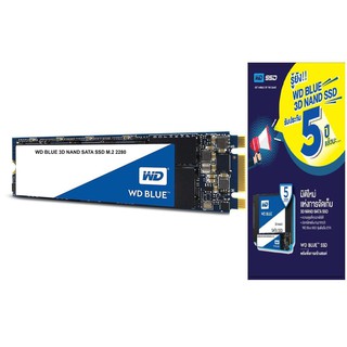 WD SSD BLUE 250GB,M.2 SATA3(6GB/S) 2280 Solid State Drive - R 560MB/S,W 525MB/S,**WDS2