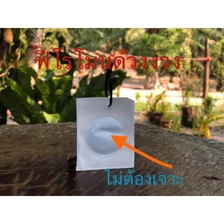 ฟีโรโมนล่อด้วงไฟ ใช้คู่กับถังล่อด้วง Rhynchophorus ferrugineus Pheromone