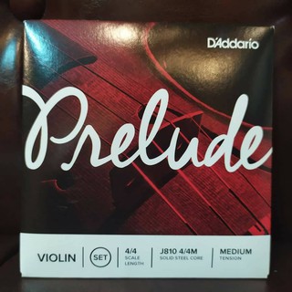 สายไวโอลินนำเข้าจาก อเมริกา DAddario รุ่น Prelude ขนาด 1/2