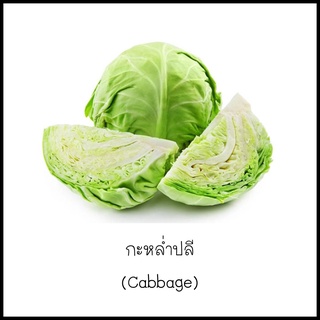 เมล็ดกะหล่ำปลี (Cabbage) 50 เมล็ด [10 แถม 1 คละได้]